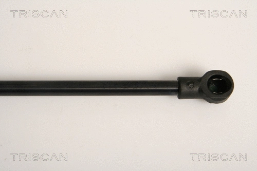 Gas Spring, boot/cargo area