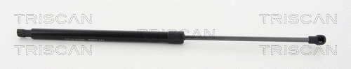 Gas Spring, boot/cargo area (8710 112011)