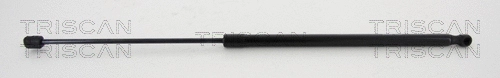 Gas Spring, boot/cargo area (8710 292032)