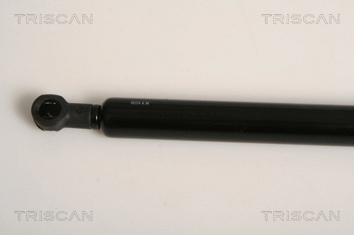 Gas Spring, boot/cargo area
