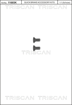 Screw Set, brake disc (8105 116006)