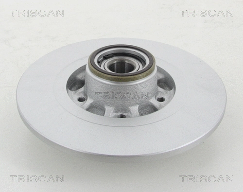 Brake Disc (8120 25159C)