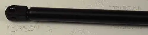Gas Spring, boot/cargo area