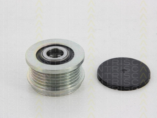 Alternator Freewheel Clutch (8641 244009)