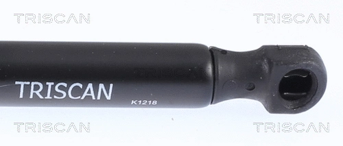 Gas Spring, boot/cargo area