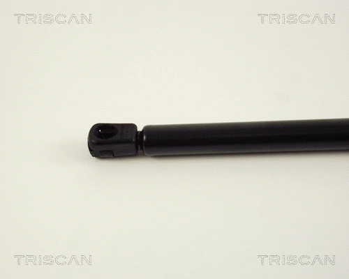 Gas Spring, boot/cargo area