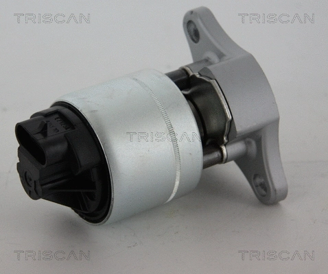 EGR Valve (8813 21006)