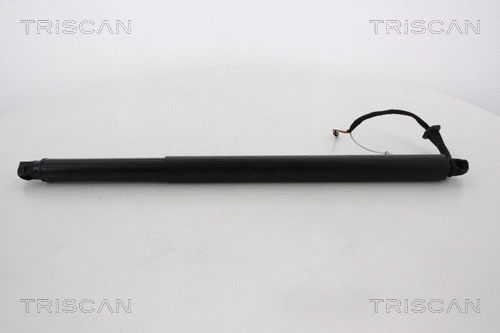 Gas Spring, boot/cargo area (8710 67290)