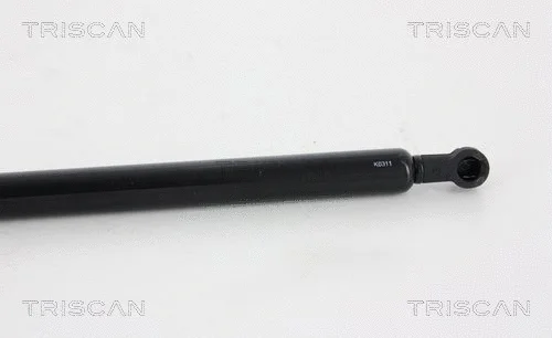 Gas Spring, boot/cargo area