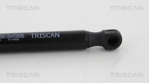 Gas Spring, boot/cargo area