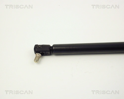 Gas Spring, boot/cargo area