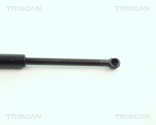 Gas Spring, boot/cargo area