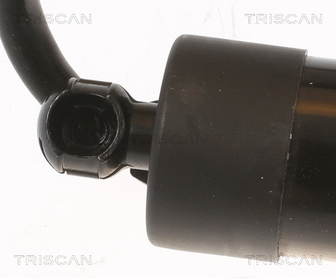 Gas Spring, boot/cargo area