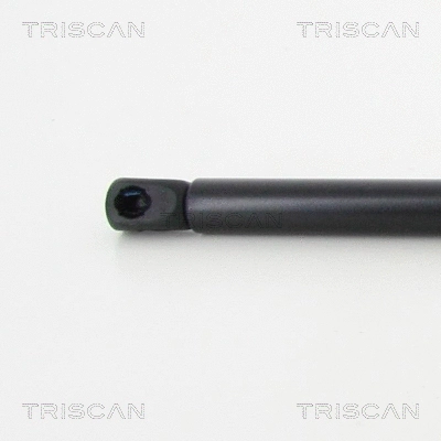 Gas Spring, boot/cargo area