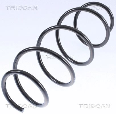 Suspension Spring (8750 23127)