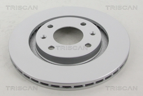 Brake Disc (8120 10113C)