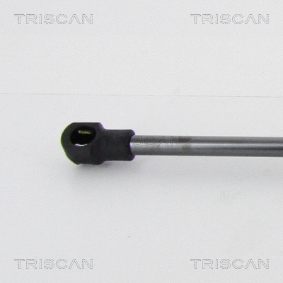 Gas Spring, boot/cargo area