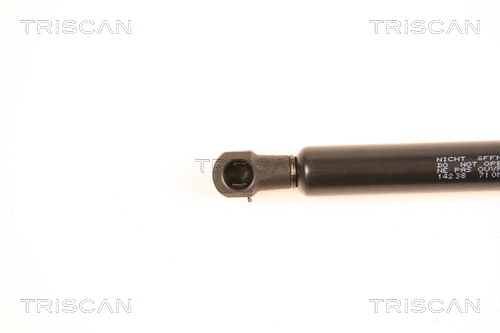 Gas Spring, boot/cargo area