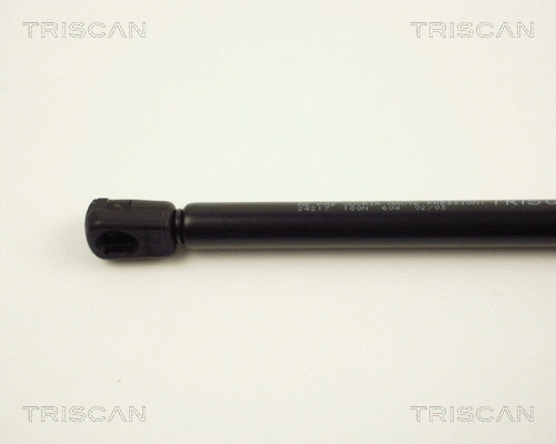 Gas Spring, boot/cargo area