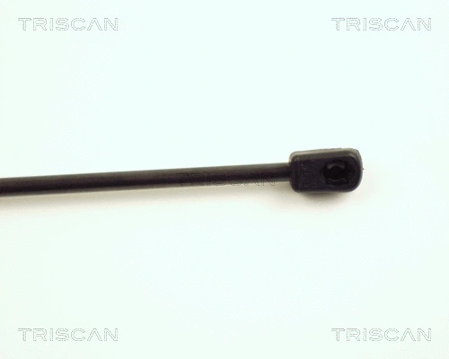 Gas Spring, boot/cargo area