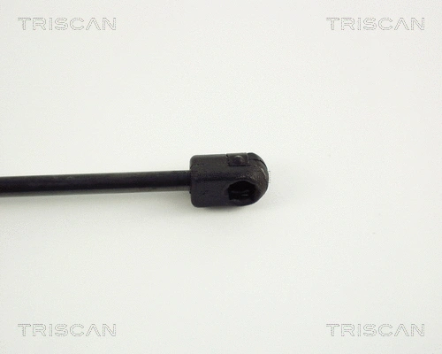 Gas Spring, boot/cargo area