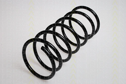 Suspension Spring (8750 2880)