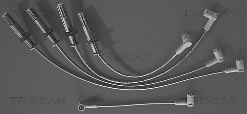 Ignition Cable Kit (8860 4161)