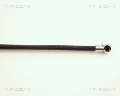Gas Spring, boot/cargo area