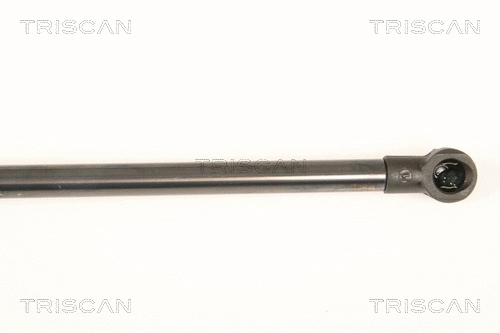Gas Spring, boot/cargo area