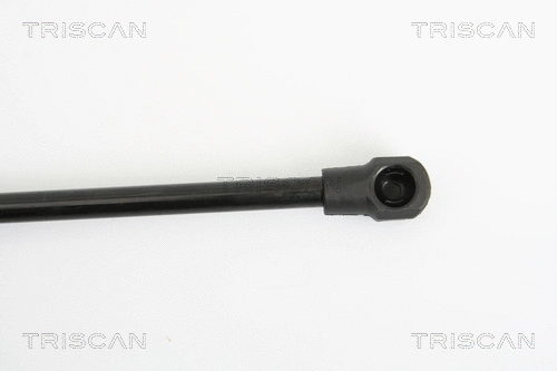 Gas Spring, boot/cargo area