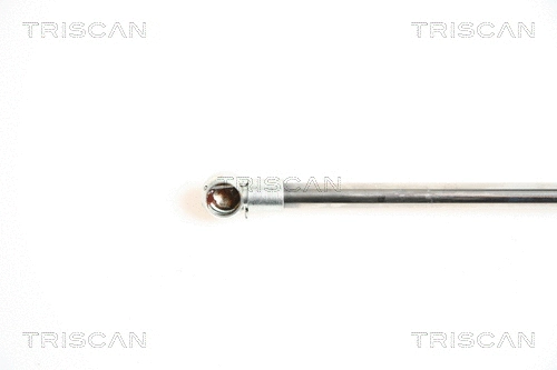 Gas Spring, boot/cargo area