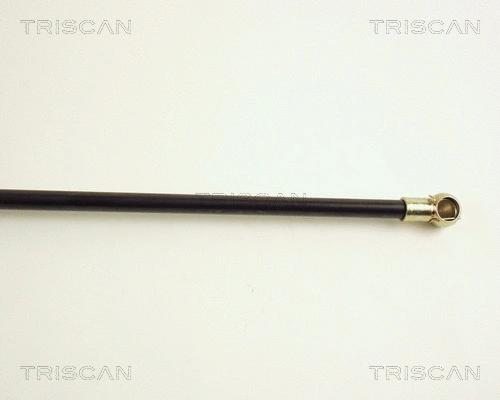 Gas Spring, boot/cargo area