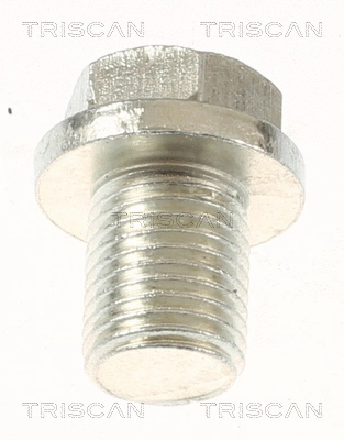 Screw Plug, oil sump (9500 4301)