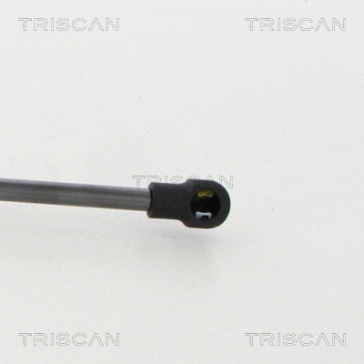 Gas Spring, boot/cargo area