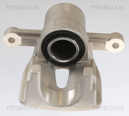 Brake Caliper (8175 13206)
