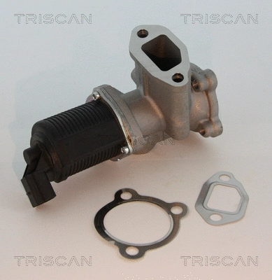 EGR Valve (8813 10003)