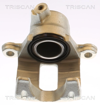 Brake Caliper (8175 13226)