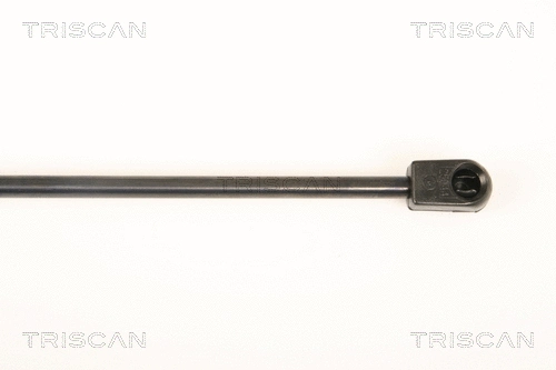 Gas Spring, boot/cargo area