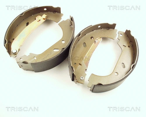 Brake Shoe Set (8100 10004)