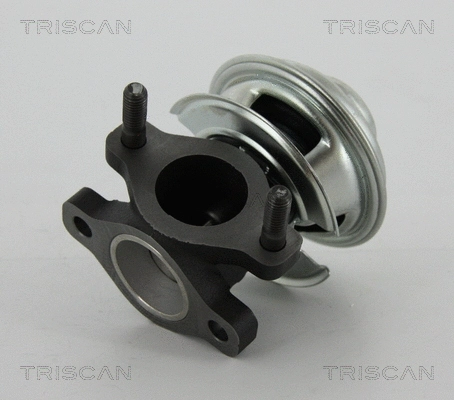 EGR Valve (8813 43008)