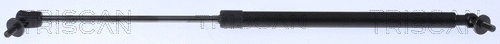 Gas Spring, boot/cargo area (8710 80206)