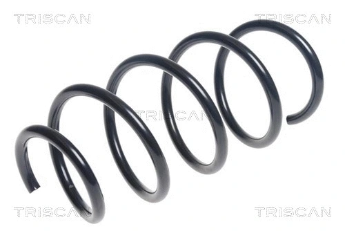Suspension Spring (8750 24192)