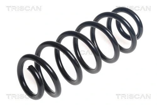 Suspension Spring (8750 29453)