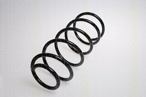 Suspension Spring (8750 1010)