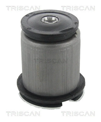Bushing, axle beam (8500 15837)