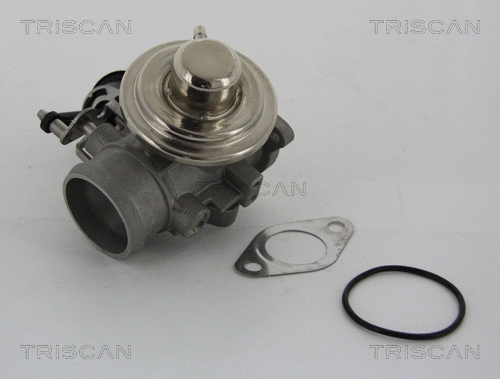 EGR Valve (8813 29001)
