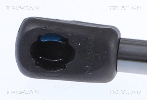 Gas Spring, boot/cargo area
