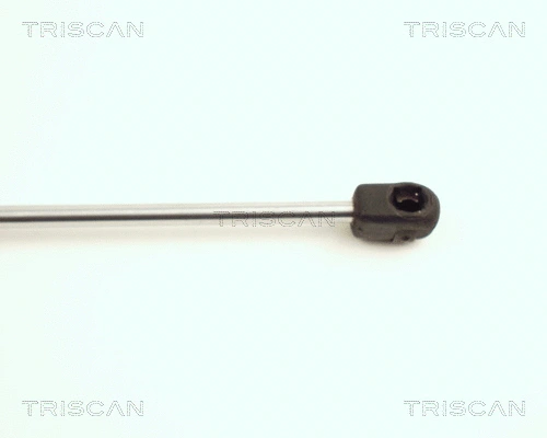 Gas Spring, boot/cargo area