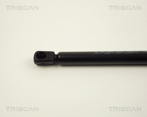 Gas Spring, boot/cargo area