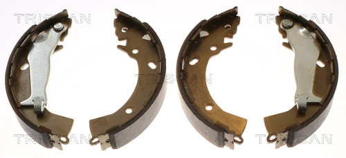 Brake Shoe Set (8100 43031)
